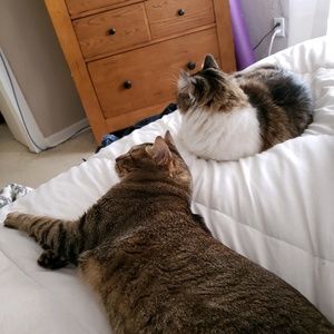 Meet your Posher, Courtney